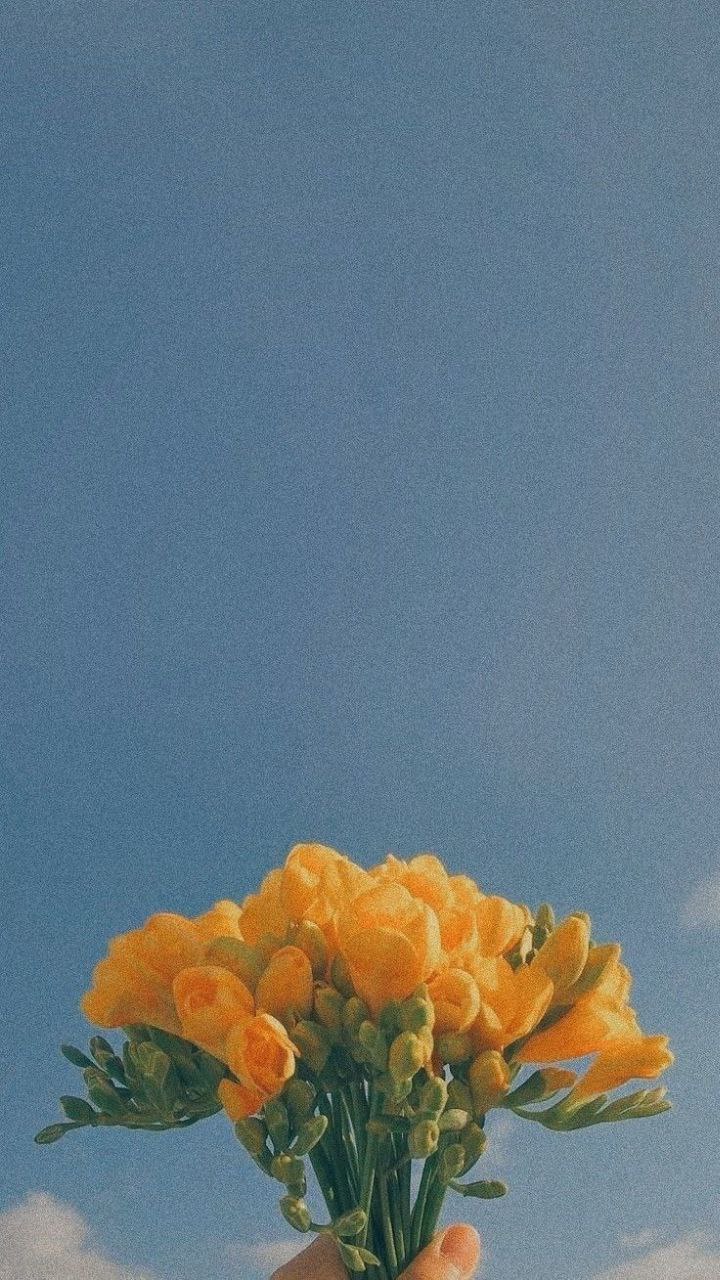 بک گراند آسمان و گل زرد