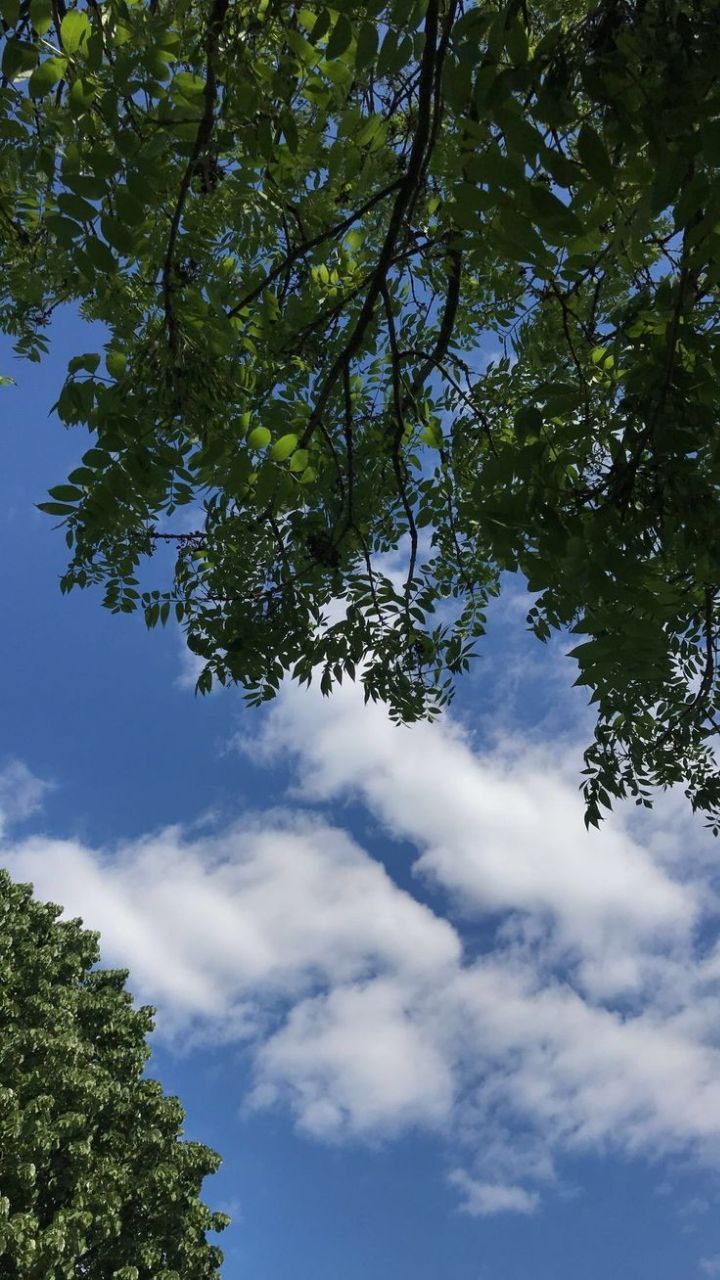 بک گراند آسمان و ابر