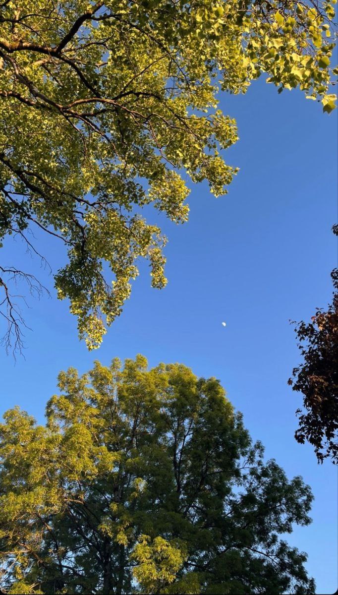 بگ گراند زیبای آسمان