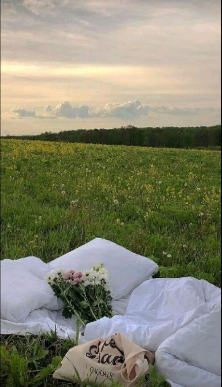 بگراند منظره دشت